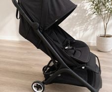 Bugaboo butterfly