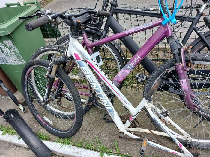 ladies bike