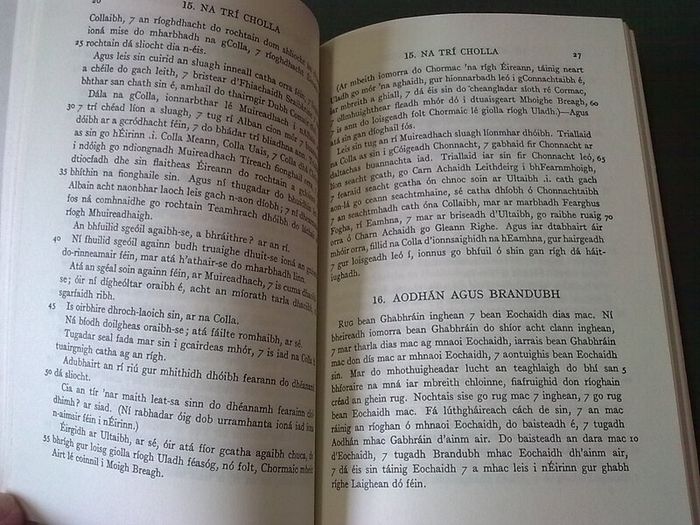 Stories from Keating's history of Ireland Irish language Gaeilge