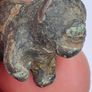 Iron Age Bronze lion with certs and License Image 3