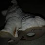 Lovely porcelain dog pre 1900. Image 2