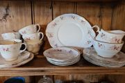 21 piece  duchess Glen pattern