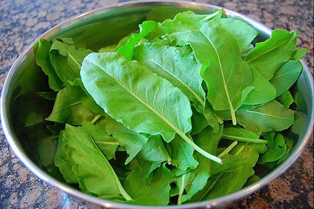 (S) Spinach Dock seeds 1g Perennial (220397)