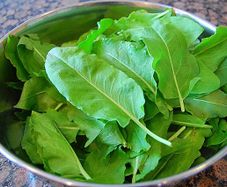 (S) Spinach Dock seeds 1g Perennial (220397)
