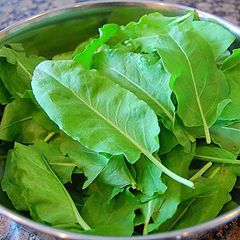 (S) Spinach Dock seeds 1g Perennial (220397)