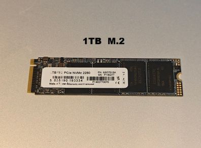 1TB M.2 Storage