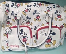 travel bag