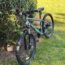 Psycho Mountain Bike Image 3