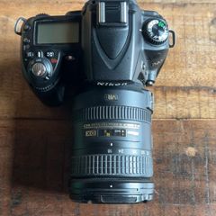 Nikon D90 + AF-S Nikkor 18-200mm Lens