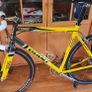 giant tcr once team Image 10