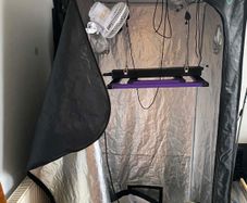 Grow Tent
