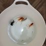 fish tank Image 3