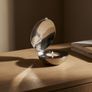 Brand New Design House Stockholm Shell Candle Holder by Magnus Lofgren Image 4