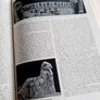Enciclopedia Italiana Treccani (1st Ed. 1929) Image 8