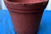 Vintage terracotta flower pot