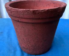 Vintage terracotta flower pot