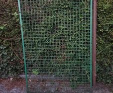 Metal Gate