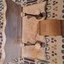 coat hanger Image 2