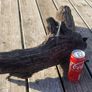 bog oak Image 3