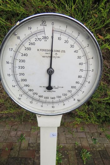 1967 vintage H. Fereday & Sons Ltd. column / lollipop scale
