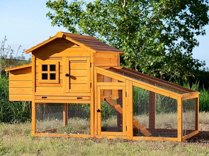 Chicken Coop Hen House Poultry Ark Home Nest Run Coup With Integra...