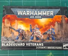 Warhammer 40k Bladeguard Veterans