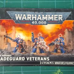 Warhammer 40k Bladeguard Veterans