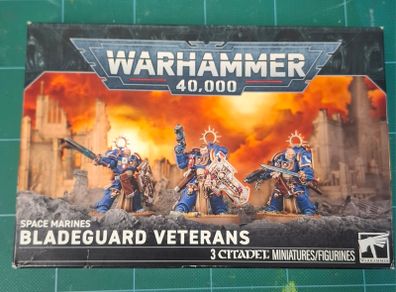 Warhammer 40k Bladeguard Veterans
