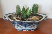 Fabulous Antique Tureen with Cacti Garden - A Fabulous Unique and Decorative Item for Display Indoors