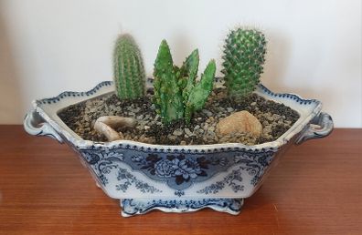 Fabulous Antique Tureen with Cacti Garden - A Fabulous Unique and Decorative Item for Display Indoors