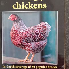 Choosing Chickens