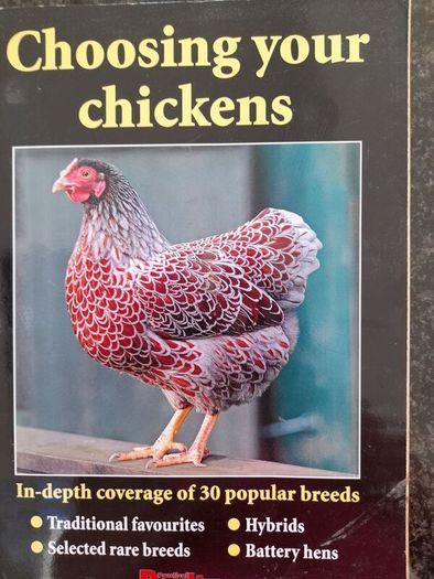 Choosing Chickens