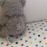 teddy bear Image 3