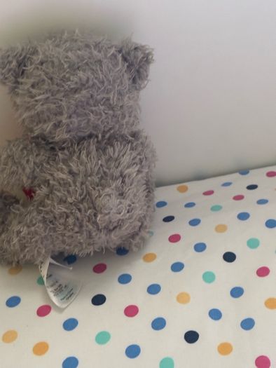 teddy bear