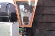 old copper  light