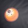 Kate Bush Vinyl Image 4