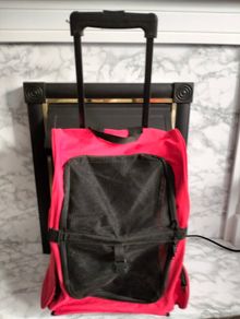 Dog trolley / carrier