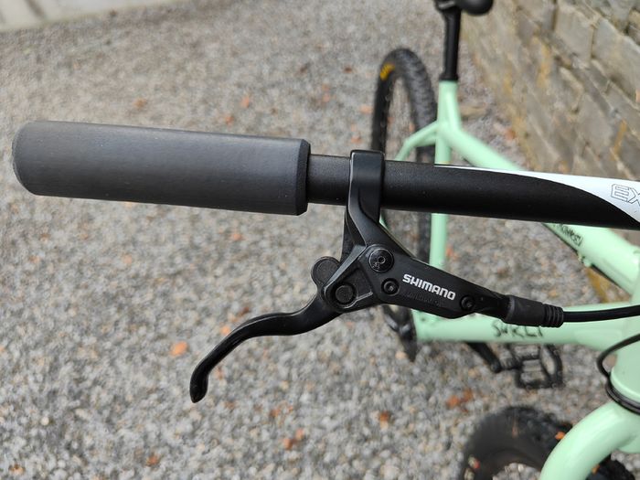 Surly Karate Monkey Single Speed MTB
