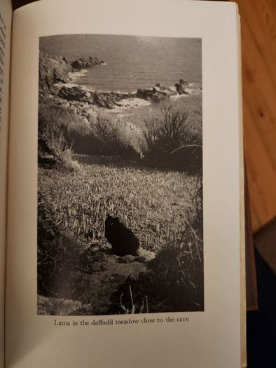 Lama  Derek Taynge. 1966 First Edition Hardback With Dustjacket 37.