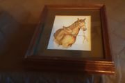 equestrian: horse and foal