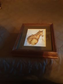 equestrian: horse and foal