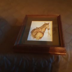 equestrian: horse and foal