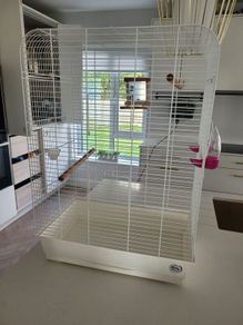 Bird cage (double)