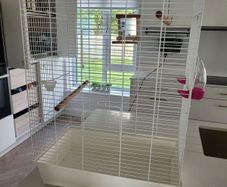 Bird cage (double)