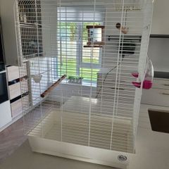 Bird cage (double)