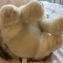 Wolf Teddy Bear Image 4