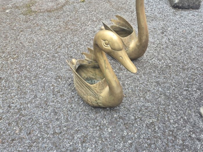 Brass Swans