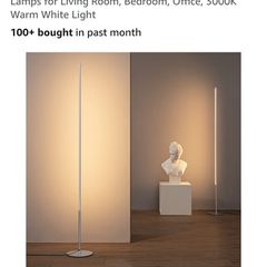 Modern Floor Lights X 2