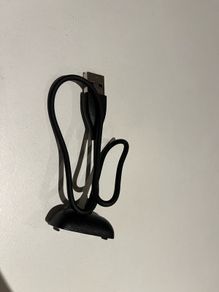fitbit charger