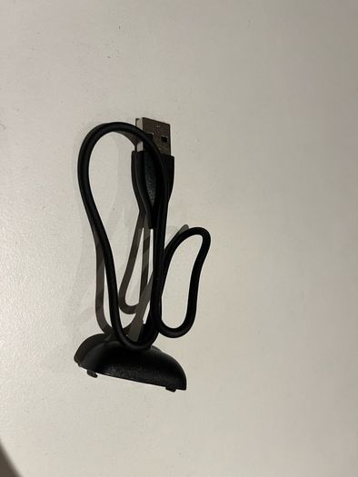 fitbit charger